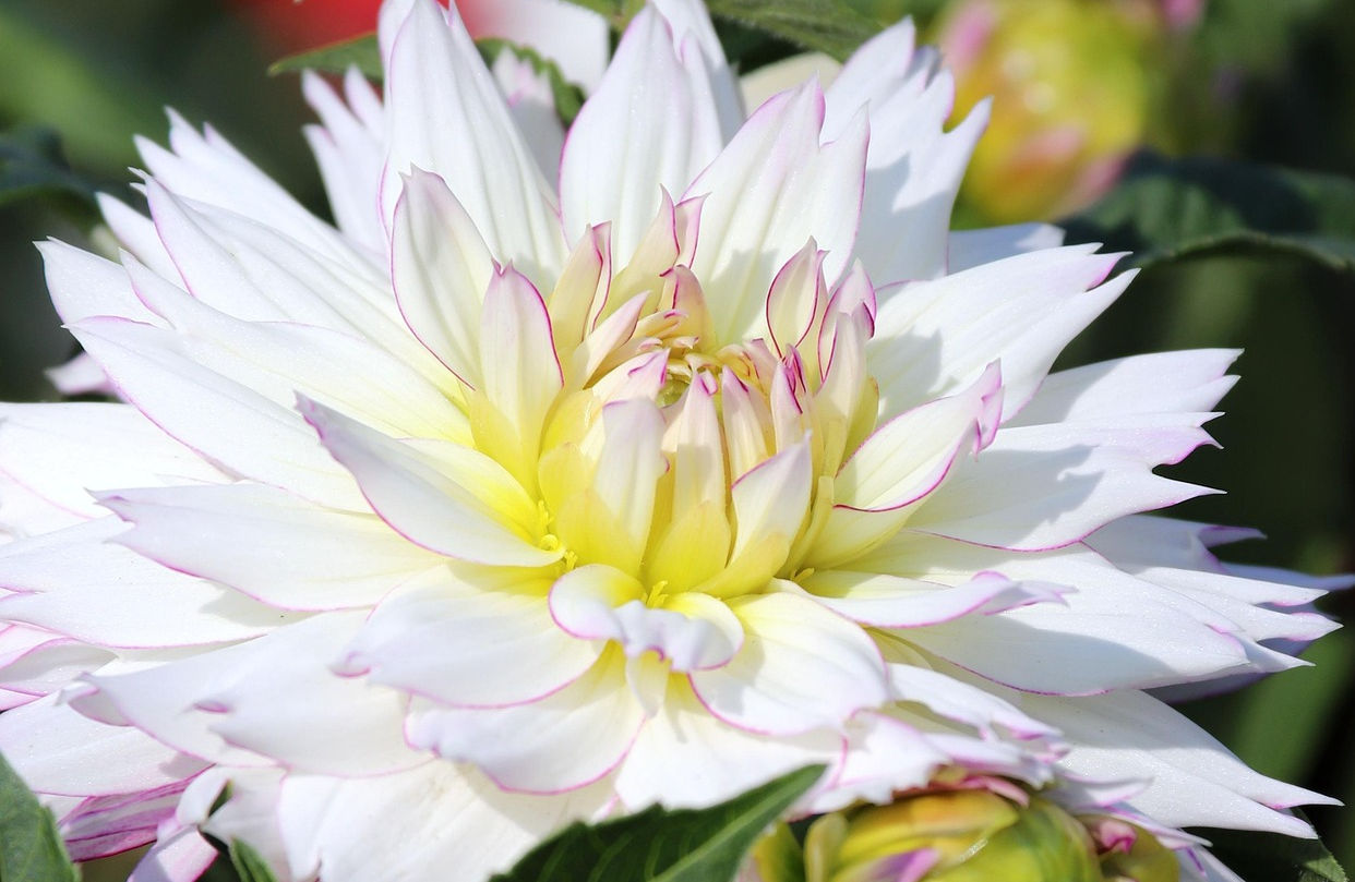 Funeral services based in Spennymoor, County Durham